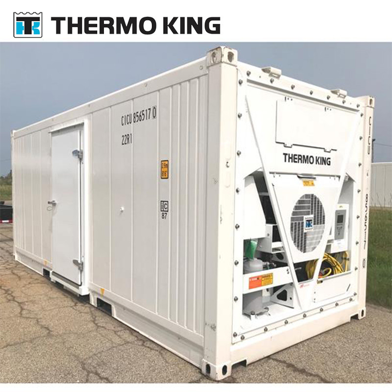 MP4000/MP4000 magnum plus THERMO KING container refrigeration unit for