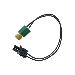 Model 448030 original low pressure switch Thermo King RV200
